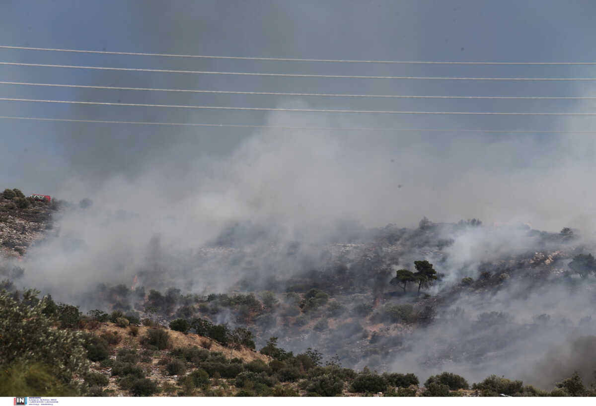 Ρέθυμνο: Φωτιά στο Αμπελάκι