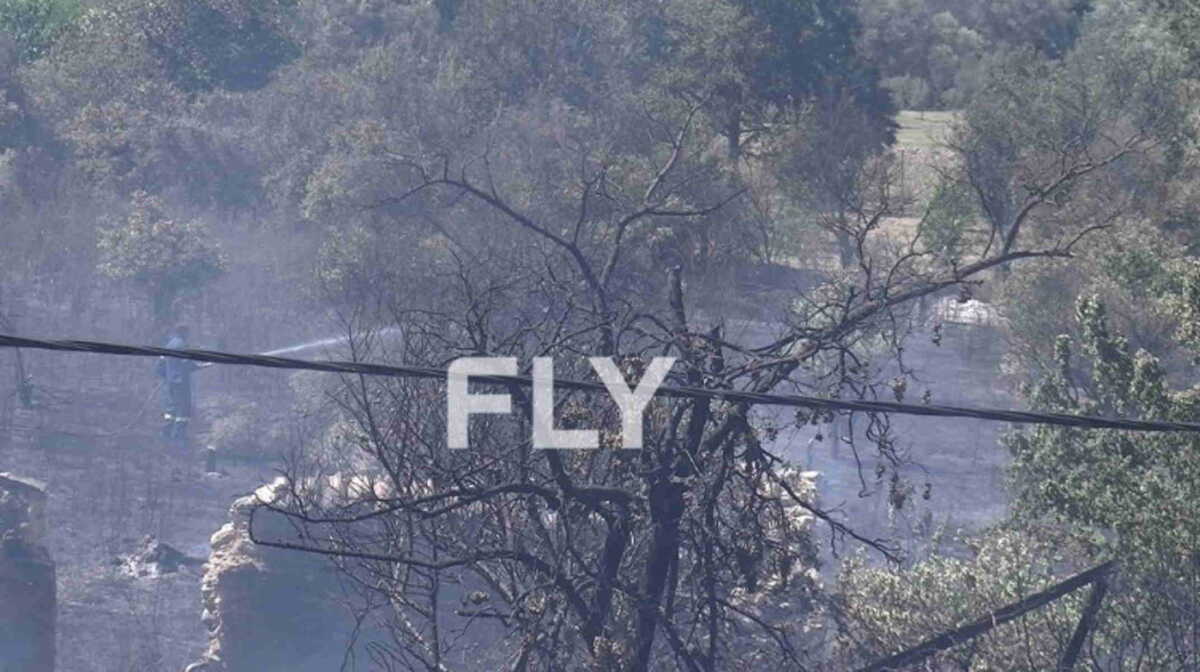 Φωτιά στη Σπάρτη – Στις φλόγες δάσος στην περιοχή Παλαιοπαναγιά