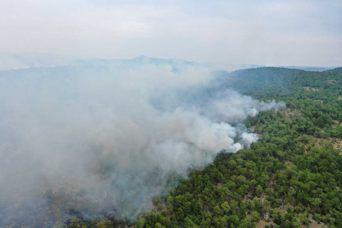 Φωτιά στην Κόνιτσα Ιωαννίνων – Καίγεται δάσος