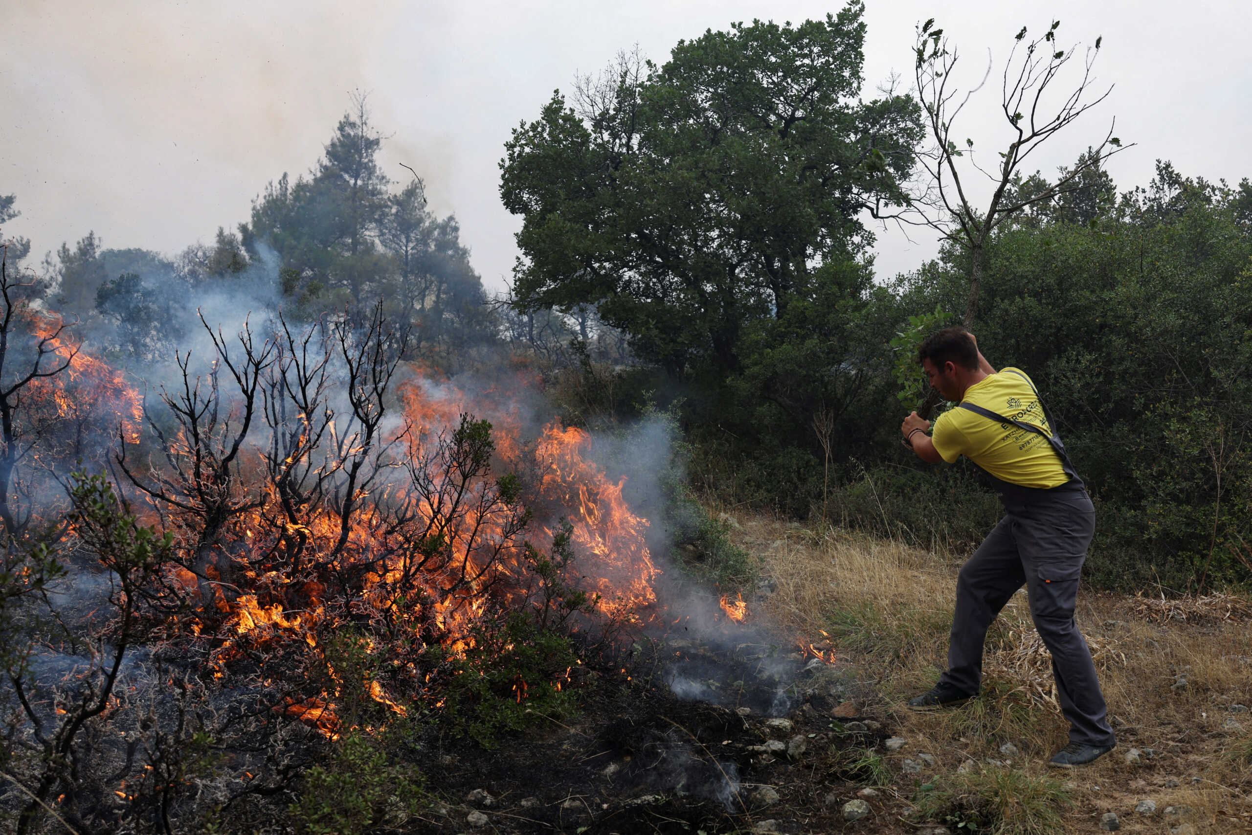 Φωτιά στον Ασπρόπυργο πάνω από τα διόδια της Αττικής οδού