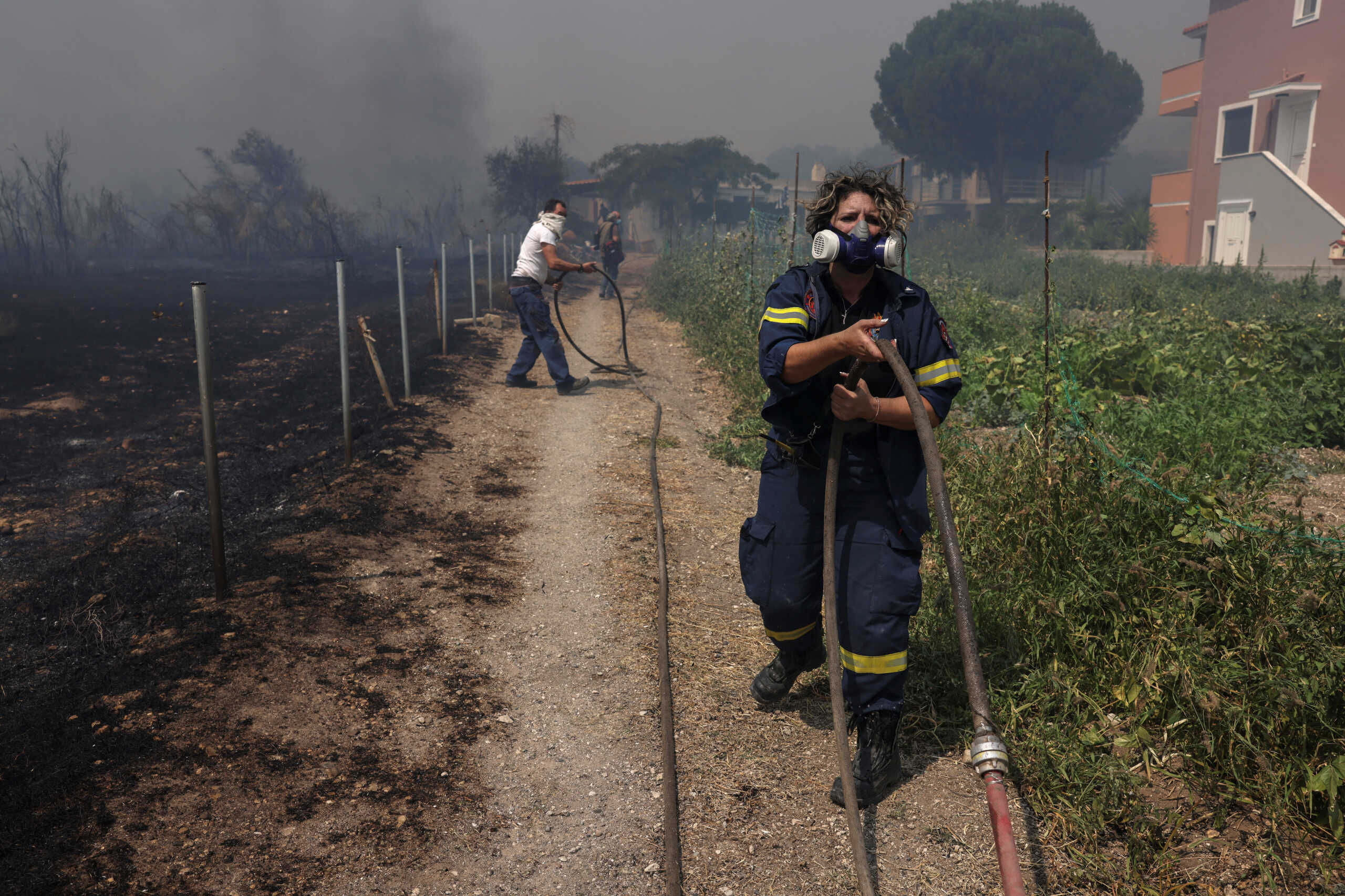 Φωτιά στη Λέσβο: Μεγάλη αναζωπύρωση στη Ρογκάδα