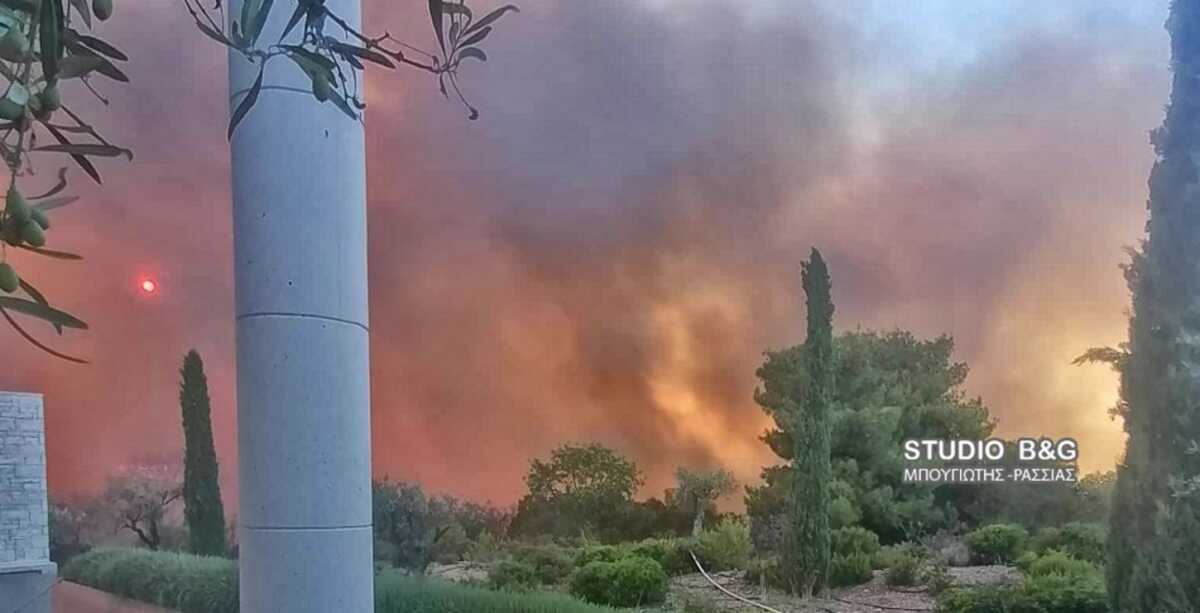 Φωτιές από την Ηλεία μέχρι το Άγιο Όρος – Φλέγεται η περιοχή πολυτελούς ξενοδοχείου στην Αργολίδα