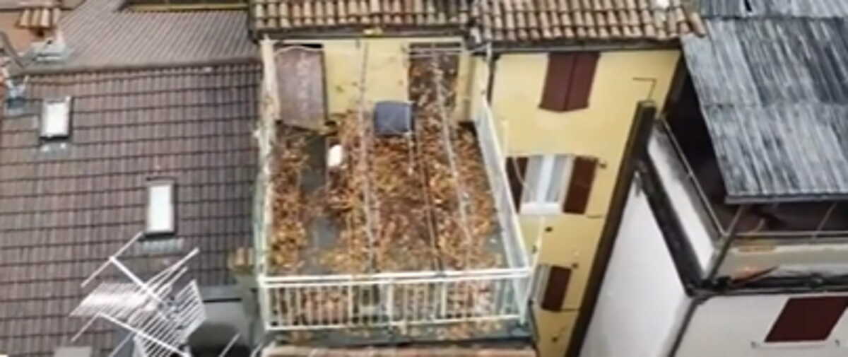 Ιταλία: Ένας «αμπελώνας τσέπης» ή αλλιώς ο μικρότερος αμπελώνας του κόσμου βρίσκεται σε ταράτσα στα Βόρεια της χώρας