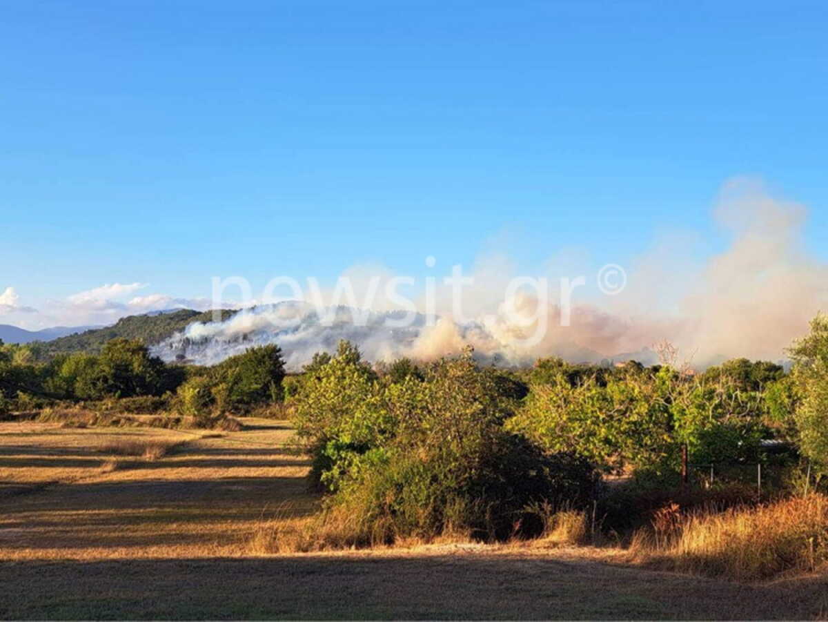 Φωτιά στην Κέρκυρα – Ήχησε το 112 για προληπτική εκκένωση των Βασιλικών