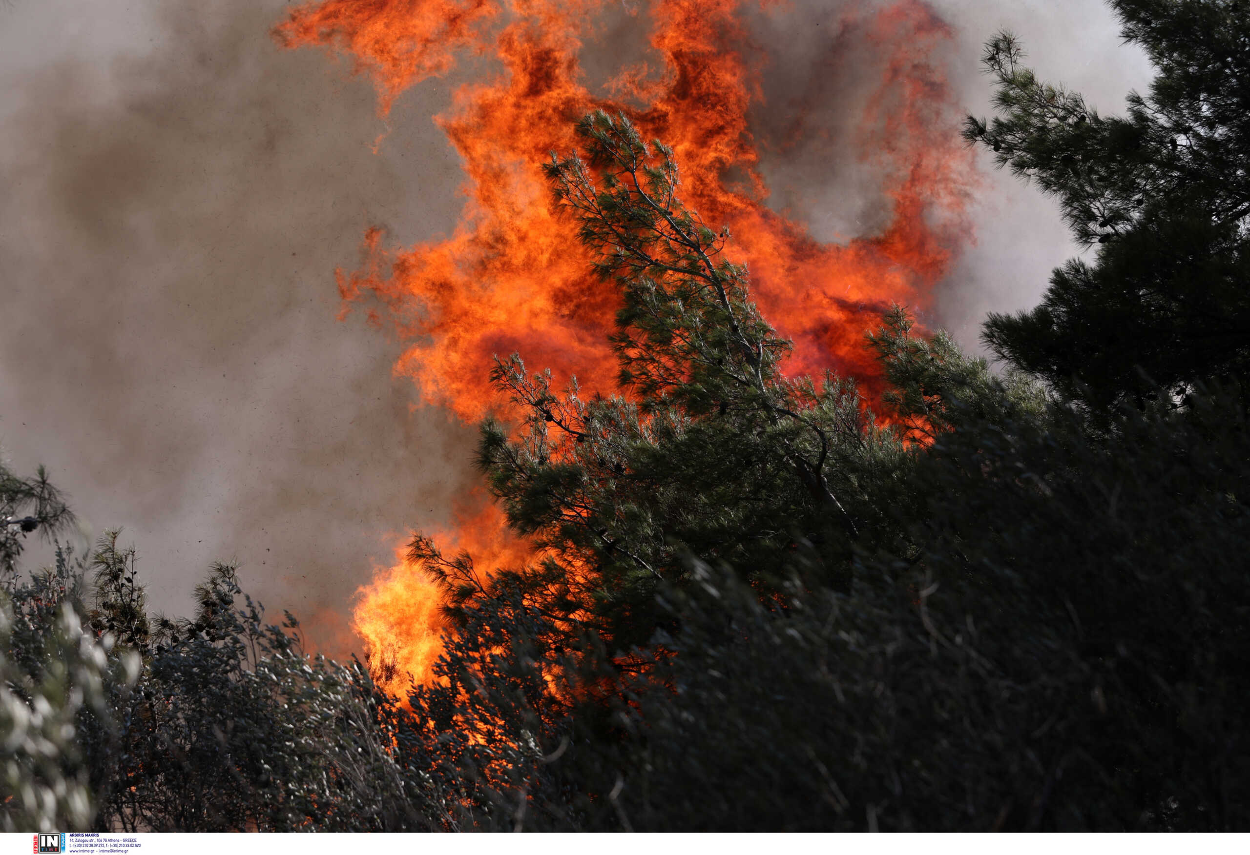 Φωτιά στη Φθιώτιδα: Σε ύφεση η πυρκαγιά στην περιοχή Φυλιαδώνα – Πυροσβέστες συνεχίζουν τη μάχη