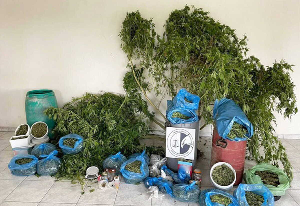 Καρδίτσα: Καλλιεργούσε δενδρύλλια κάνναβης σε αυτοσχέδιο θερμοκήπιο ναρκωτικών