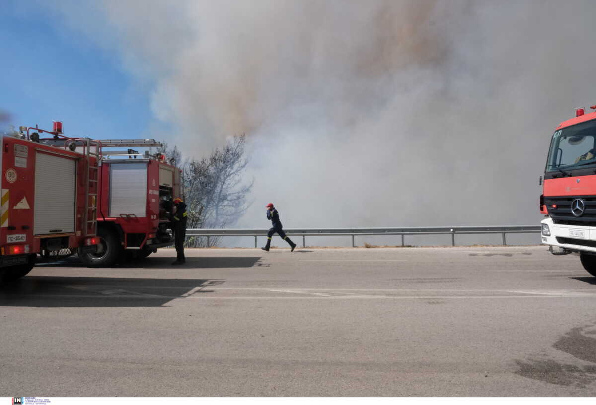 Ρόδος: Φωτιά σε δασική έκταση στην περιοχή Μαντρικό