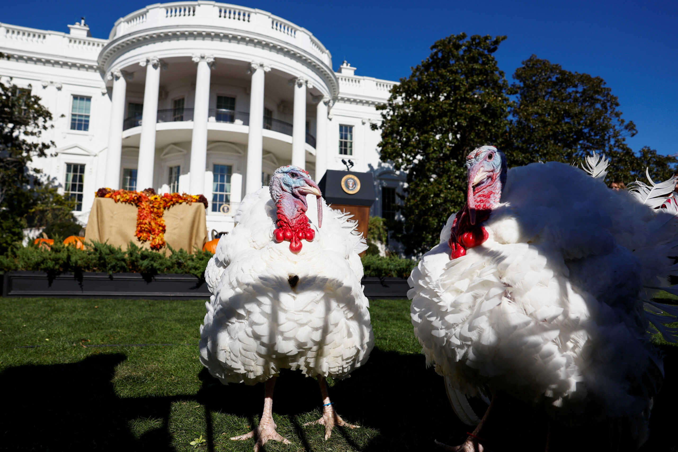 Thanksgiving: Η ιστορία και οι παραδόσεις πίσω από την Ημέρα των Ευχαριστιών που γιορτάζεται στις ΗΠΑ