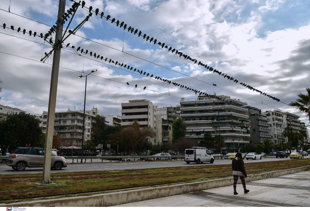 Ένα «σπίτι» ανταποδοτικής ανακύκλωσης στον δήμο Αλίμου