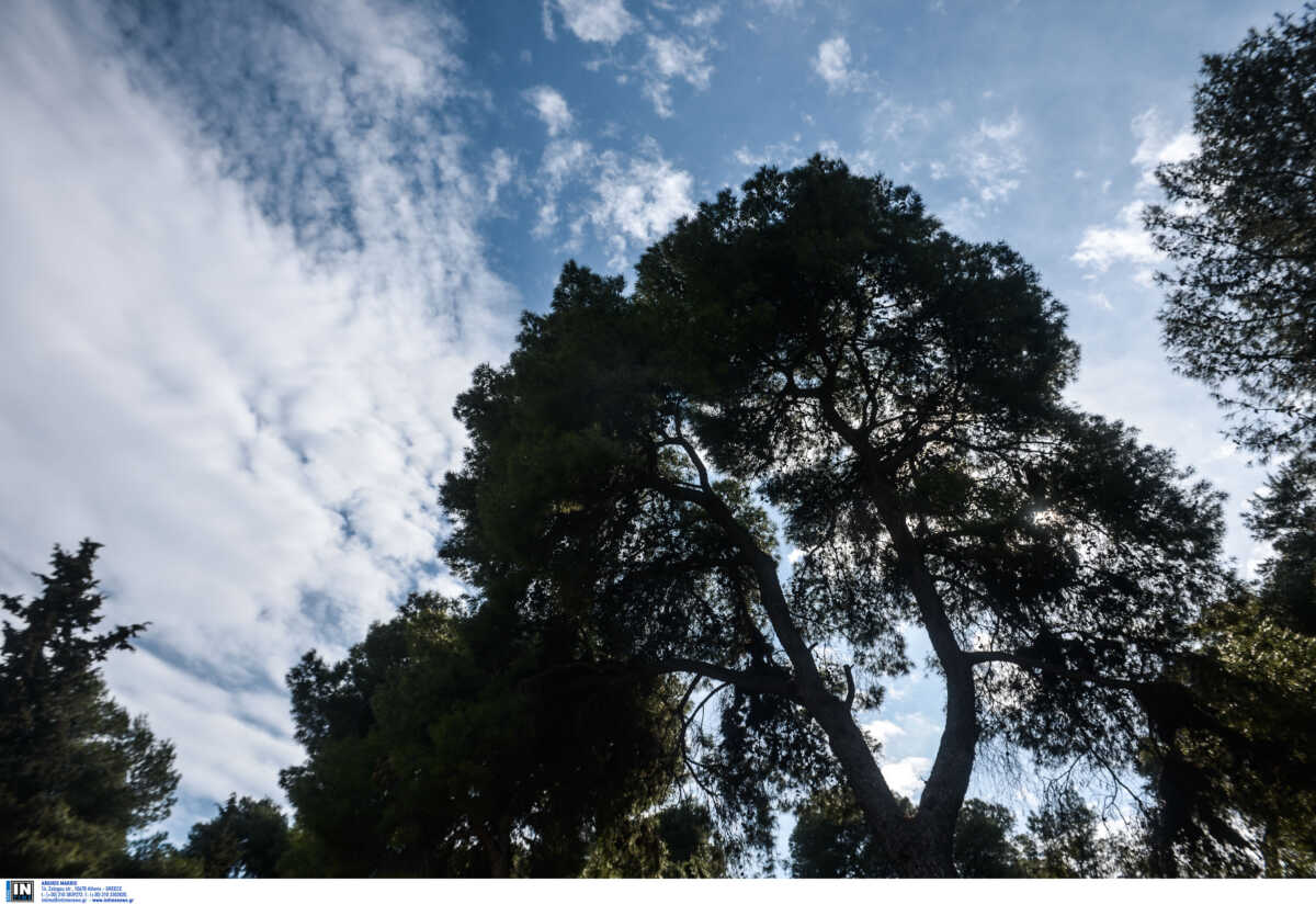 Καιρός – Meteo: Με καλές «διαθέσεις» και αύριο – Πού θα φτάσει 27 βαθμούς η θερμοκρασία την Τετάρτη (2/11)