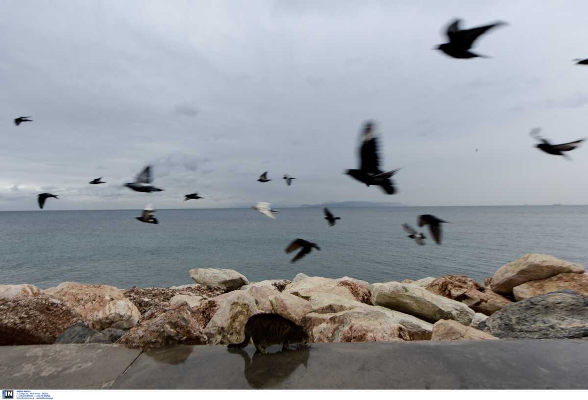 Καιρός σήμερα: Θερμοκρασία σε πτώση στη μισή Ελλάδα, άνοδος στην υπόλοιπη – Αναλυτική πρόγνωση