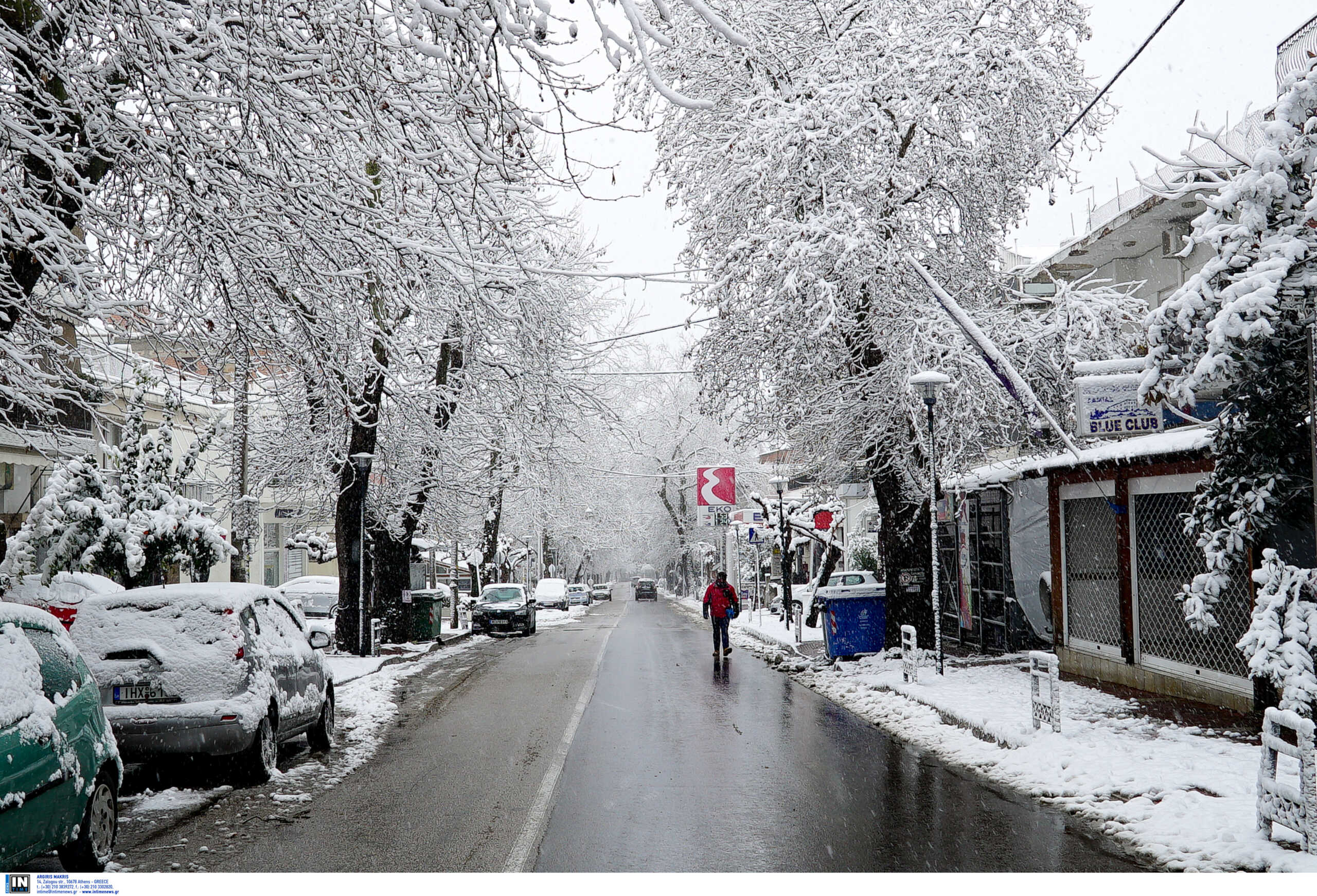 Καιρός – Λαμία: Χιόνια και κλειστά σχολεία με νέες εικόνες από την κακοκαιρία Μπάρμπαρα