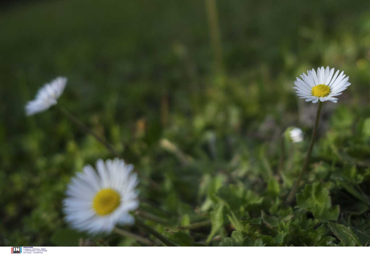 Καιρός σήμερα: Διπρόσωπος με ήλιο και βροχές – Αναλυτική πρόγνωση