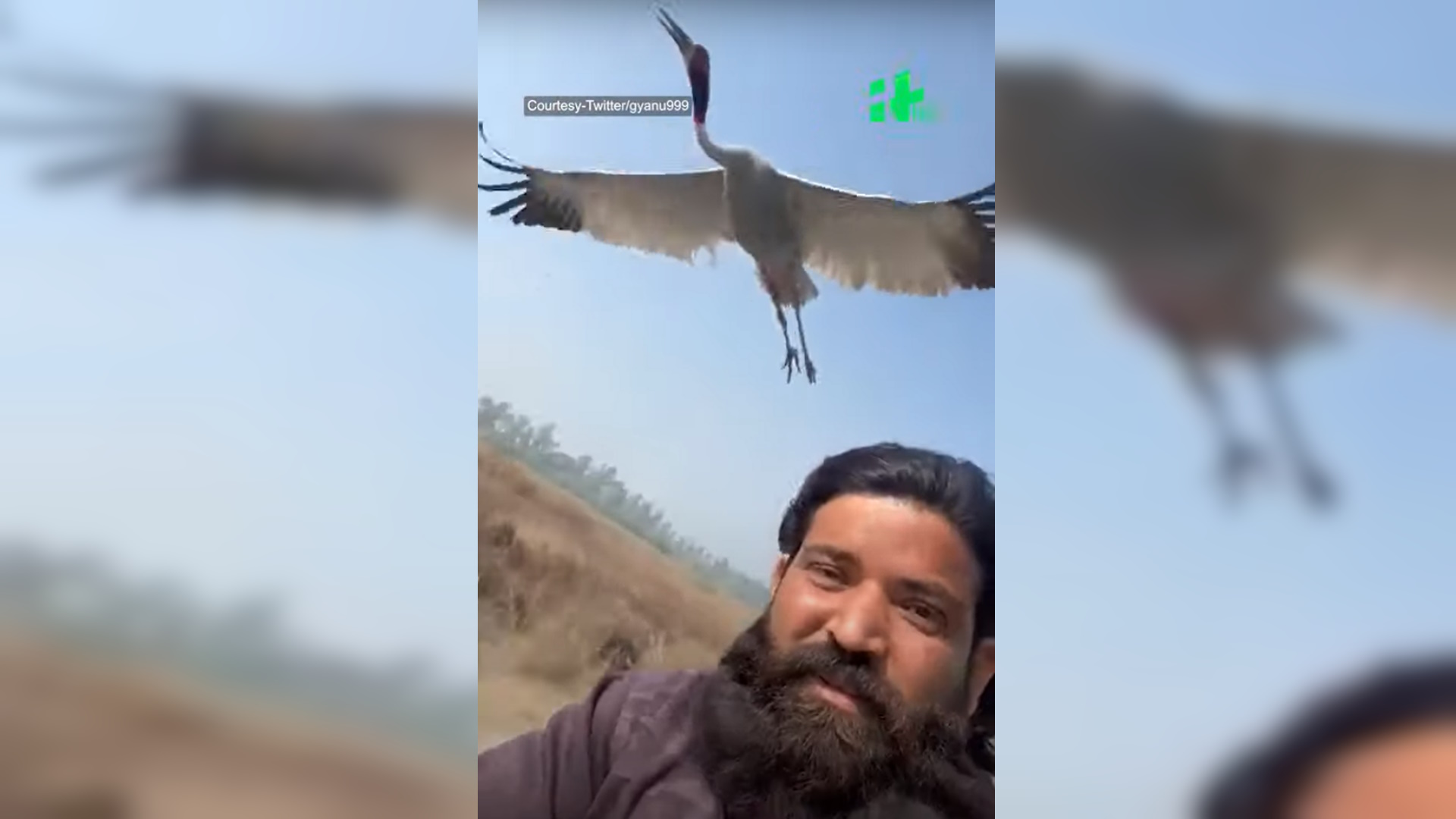 Ινδία: Αγρότης καλεί τις Αρχές να απελευθερώσουν ένα πουλί που είχε σώσει και έγιναν φίλοι