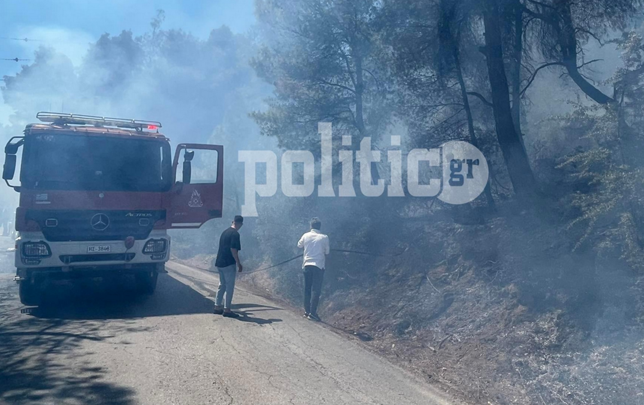 Φωτιά στη Χαλκιδική: Στις φλόγες δασική έκταση στο Παλιούρι, δείτε βίντεο