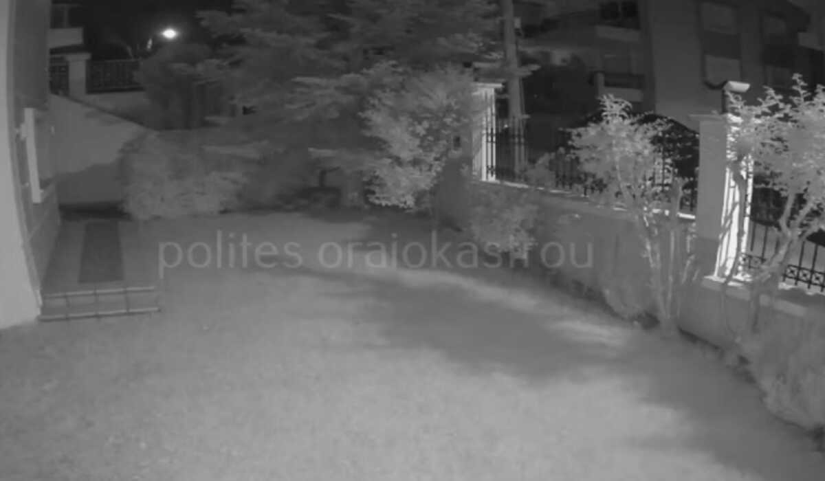 Θεσσαλονίκη: Επιθέσεις με αυγά σε σπίτια – Το βίντεο ντοκουμέντο και ο τρόμος για έγκυο 6 μηνών