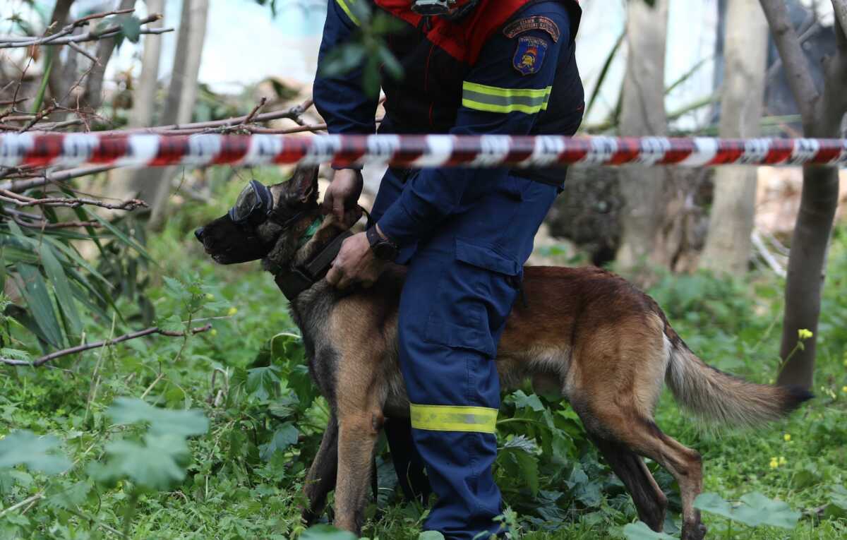 Εύβοια: Επιχείρηση διάσωσης για τρεις περιπατητές