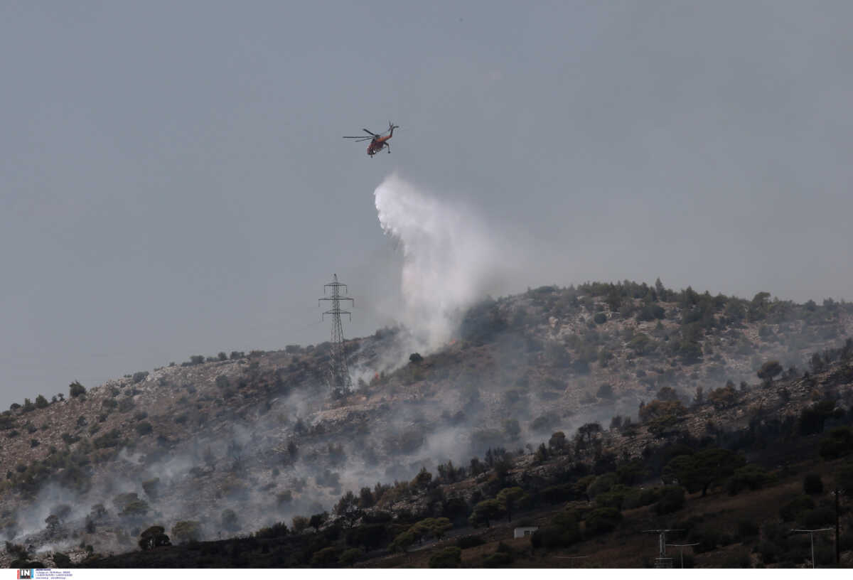 Φωτιά στον δήμο Τροιζηνίας Μεθάνων – Κινητοποιήθηκαν επίγειες και εναέριες δυνάμεις