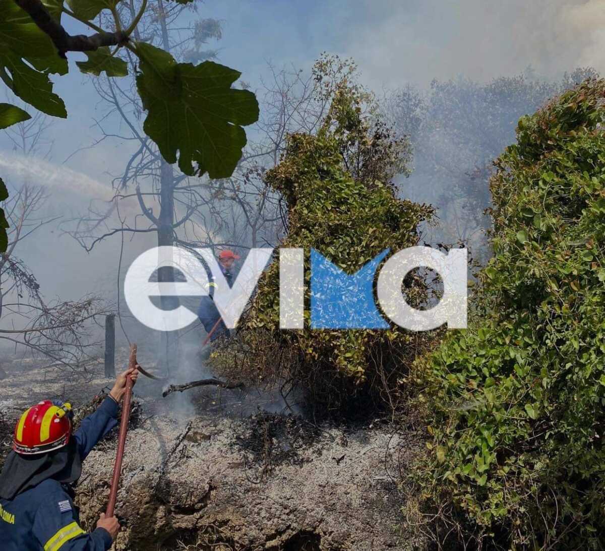 Φωτιά στην Κύμη Ευβοίας – Οι πρώτες εικόνες