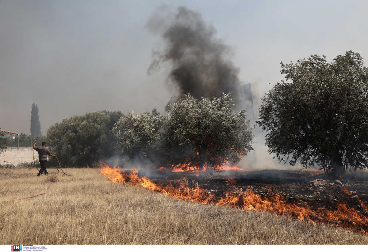 Φωτιά στον Πάνακτο Δερβενοχωρίων