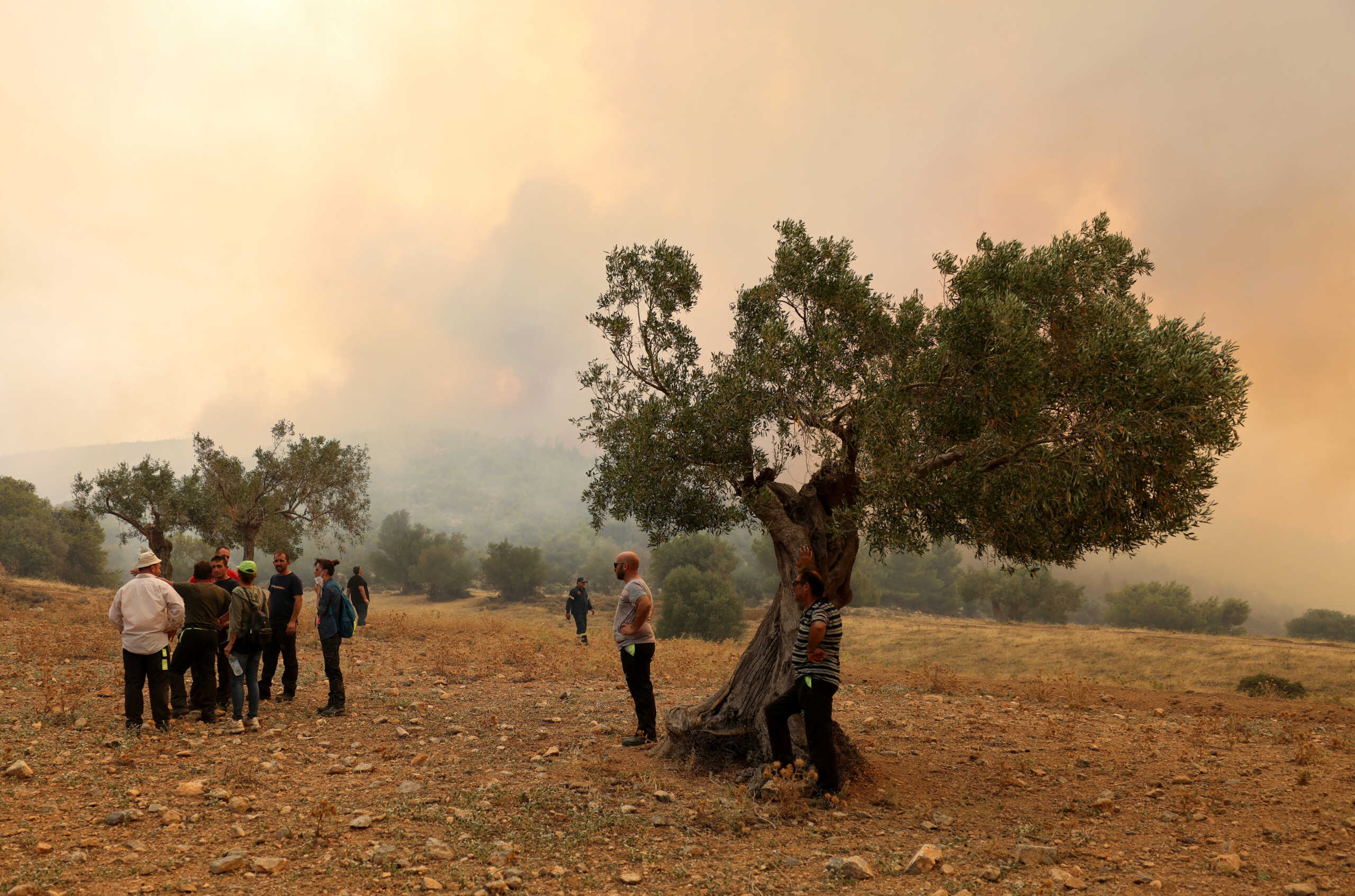 Φωτιά στη Ρόδο: Εκκενώνονται τρία χωριά και ένα ξενοδοχείο – Ανεξέλεγκτο το πύρινο μέτωπο