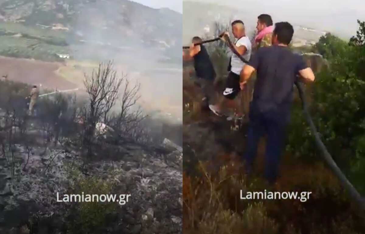 Φωτιά στη Λαμία: Τα συγκλονιστικά πλάνα από τη μάχη των κατοίκων της Νέας Μαγνησίας με τις φλόγες