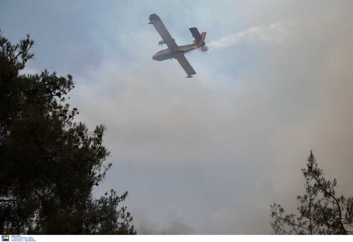 Φωτιά στην Λέσβο, σε δασική έκταση