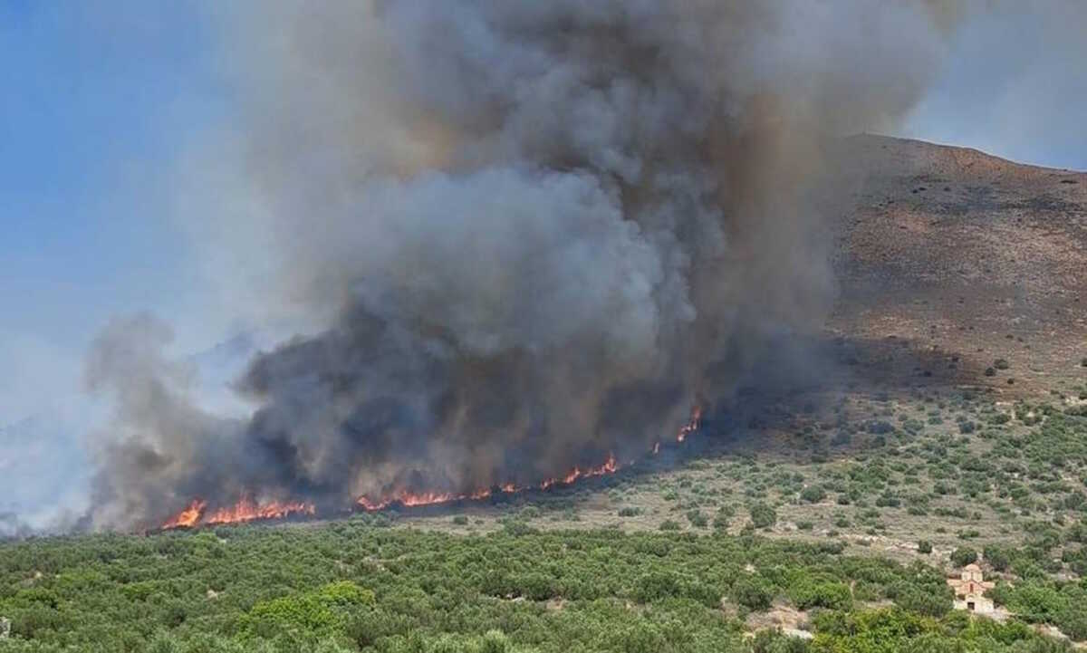 Φωτιά σε δασική έκταση στη Γαρδενίτσα Λακωνίας