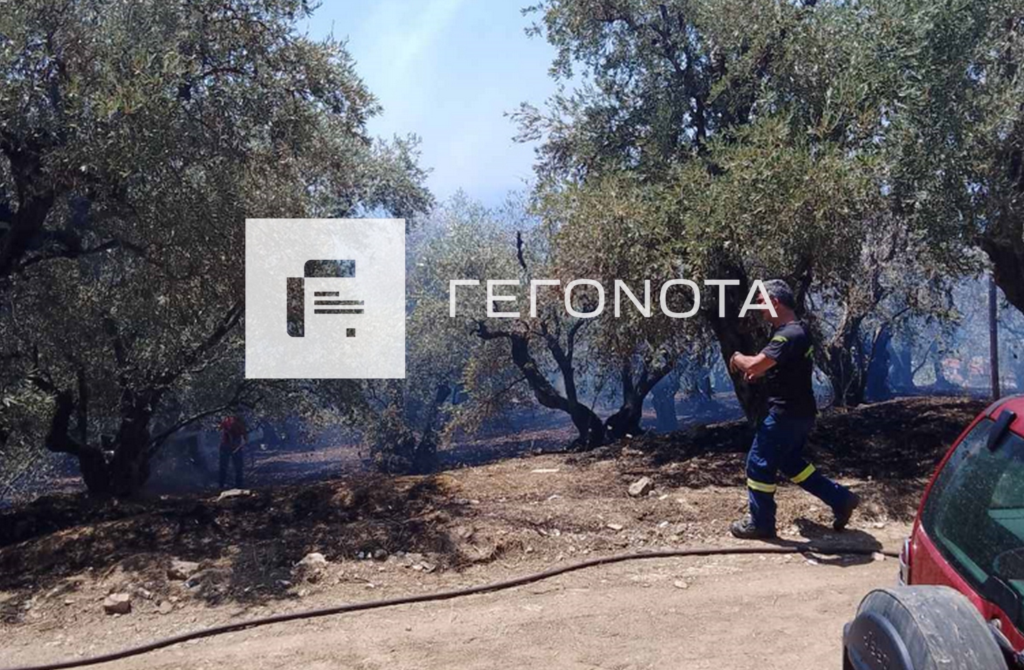 Φωτιά στο Πήλιο: Υπό πλήρη έλεγχο η πυρκαγιά στα Αργυραίικα – Ξεκίνησε από αυτοκίνητο που ανεφλέγη