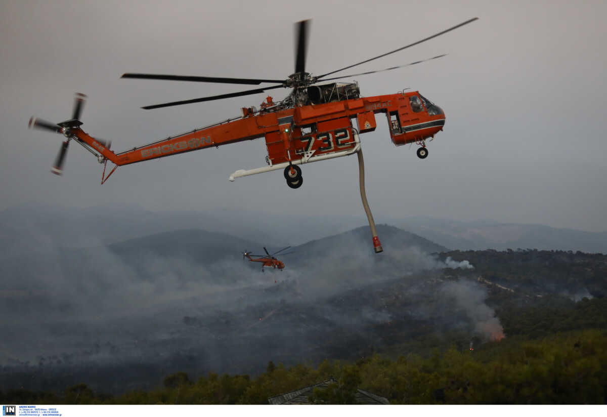 Φωτιά στο Δομοκό: Ξέσπασε πυρκαγιά σε αγροτοδασική έκταση στο Νέο Μοναστήρι – Επιχειρούν επίγειες και εναέριες δυνάμεις