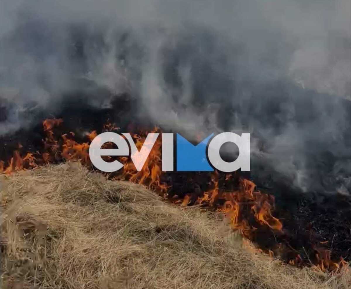 Φωτιά στην Εύβοια στην περιοχή Πανόραμα – Καίει δάσος και χαμηλή βλάστηση