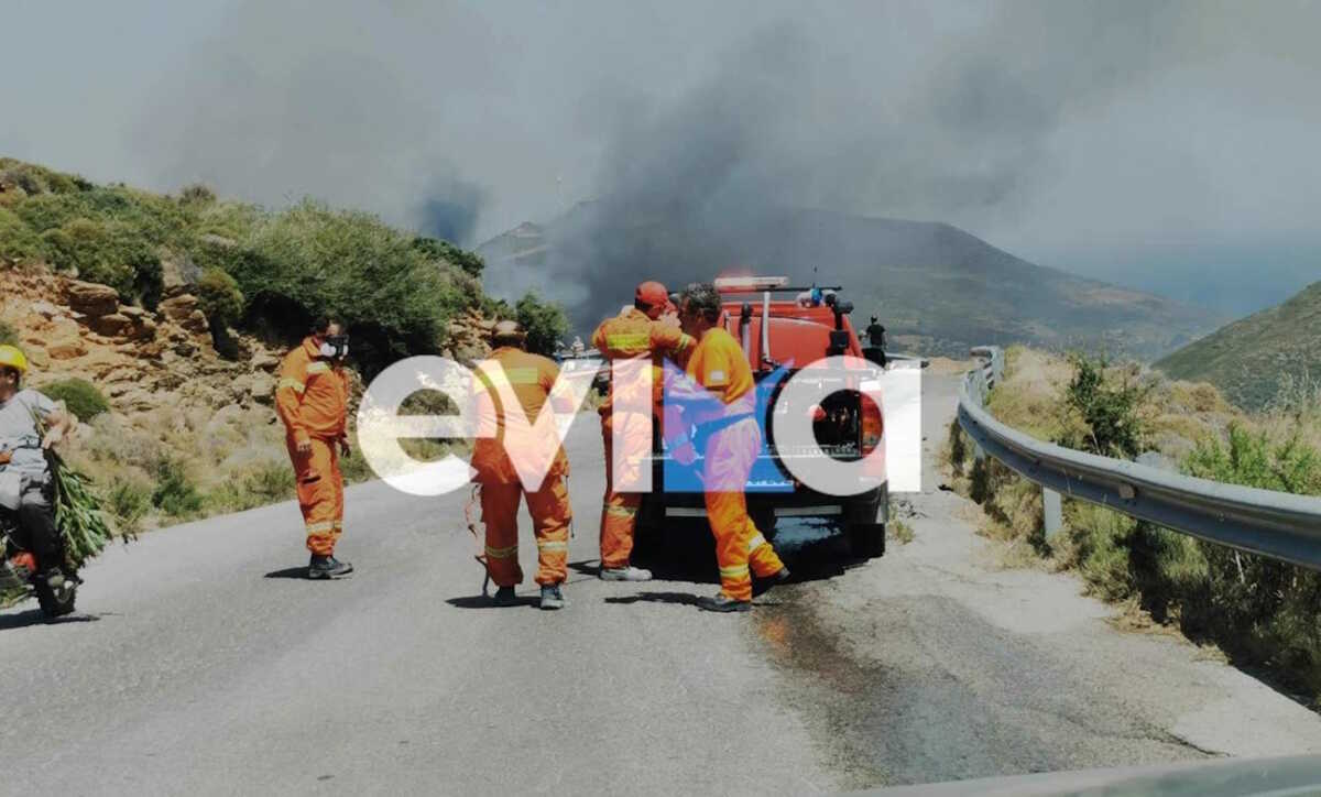 Φωτιά στην Εύβοια – Καίει δέντρα και χαμηλή βλάστηση στην Κάρυστο