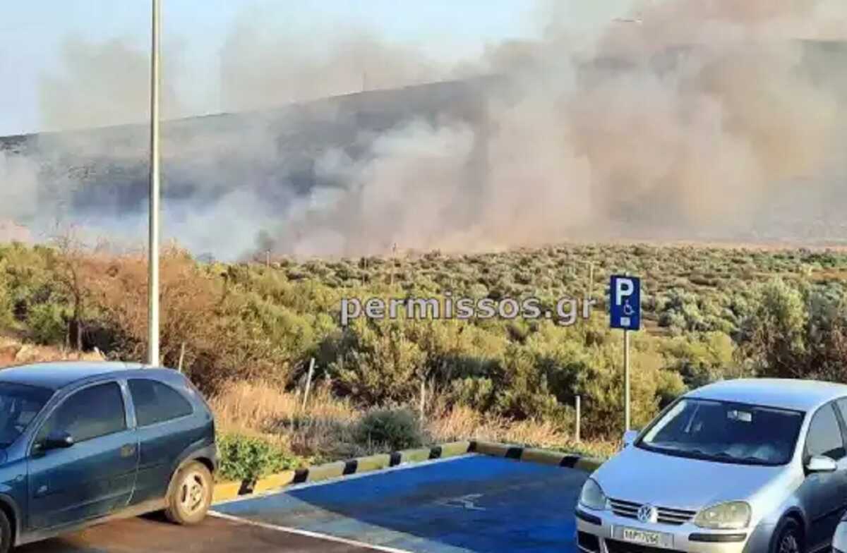 Φωτιά στον Πρόδρομο Βοιωτίας: Ολονύχτια η μάχη με τις φλόγες για να μην υπάρξει αναζωπύρωση