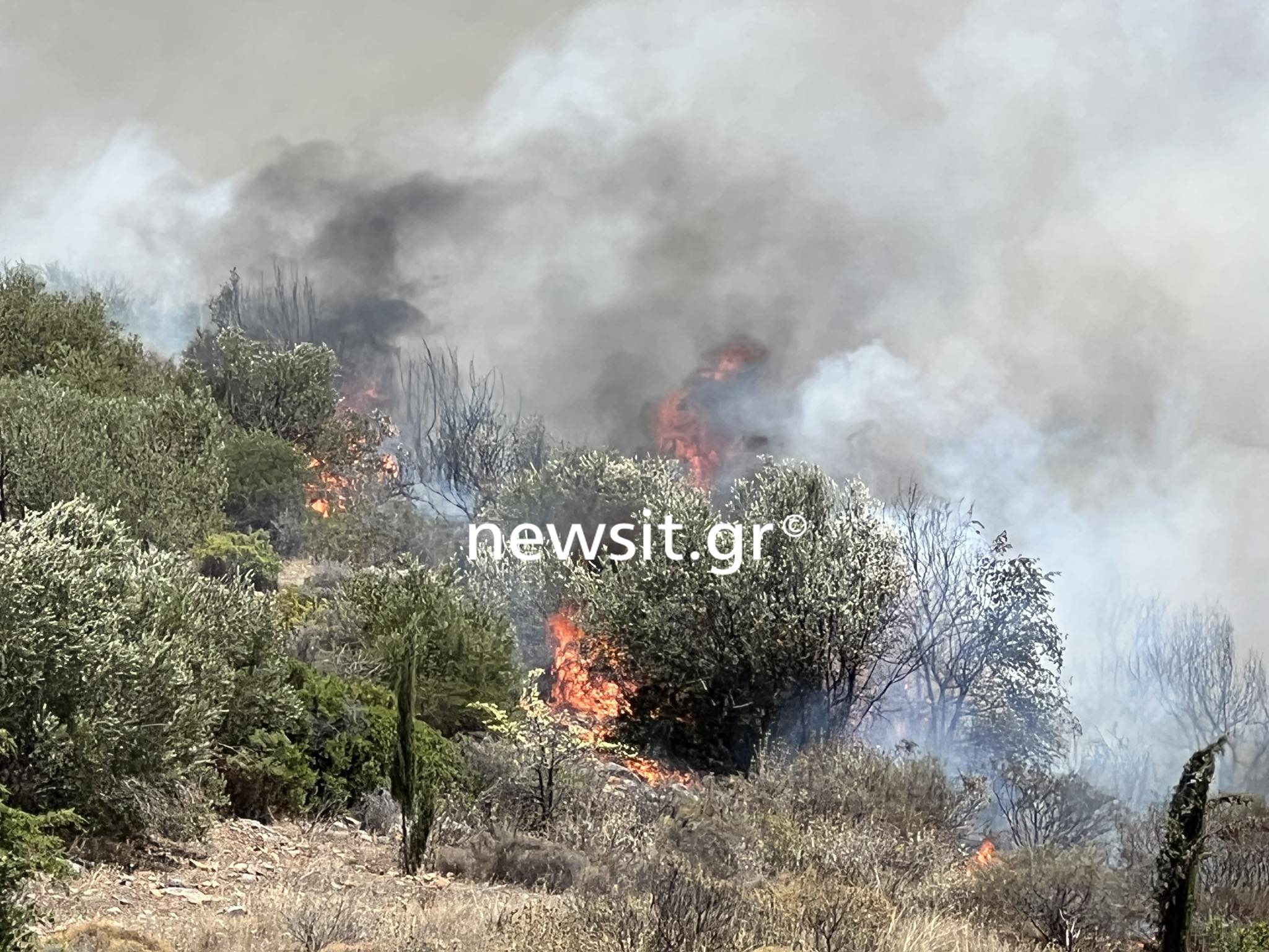 Φωτιά στο Νέο Κουβαρά: Ανεξέλεγκτο το πύρινο μέτωπο – Εκκενώνονται τρεις οικισμοί, άνεμοι έως 8 μποφόρ