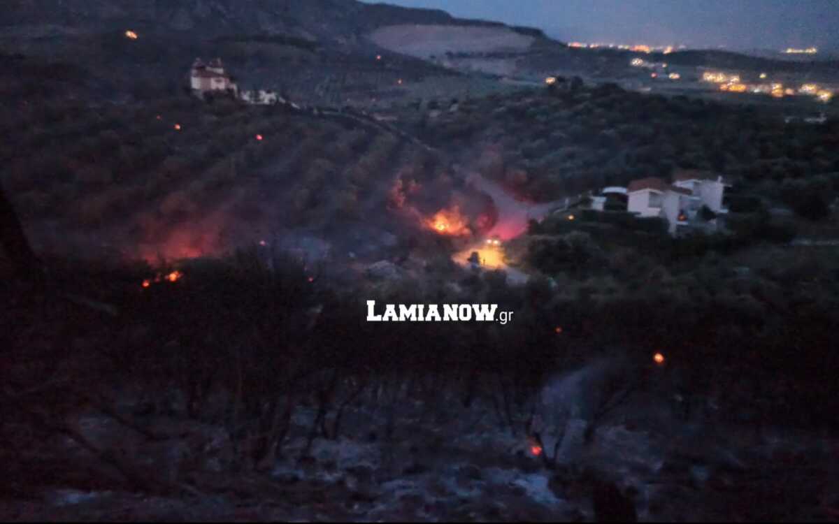 Φωτιά στη Λαμία: Σπίτια τυλίχτηκαν στις φλόγες σε Αφανό και Κάστρο