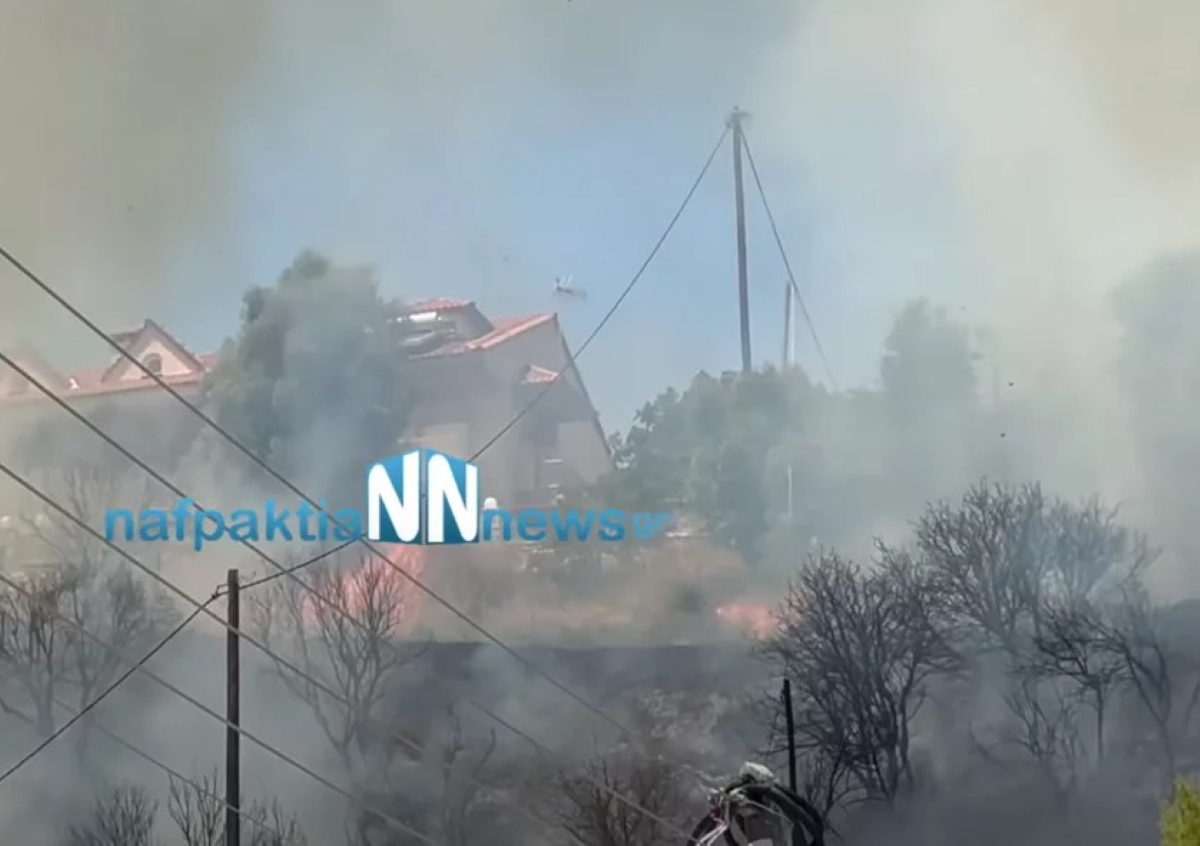 Ναύπακτος: Δύο ανήλικοι πίσω από τη φωτιά που απείλησε σπίτια στον Πλατανίτη