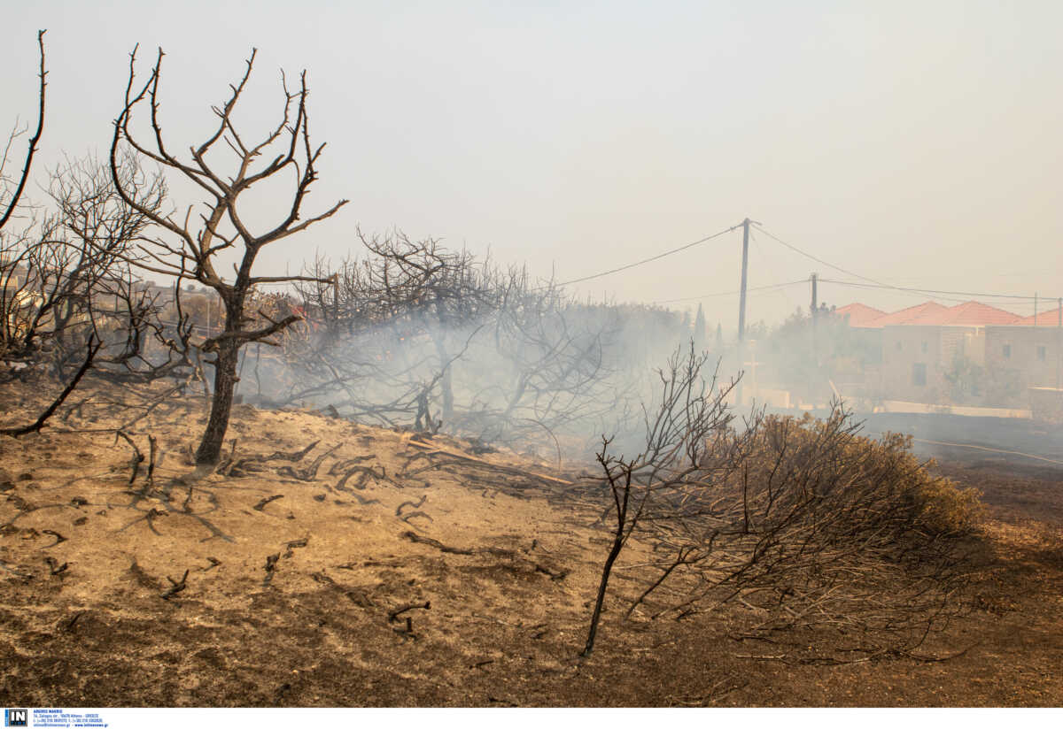 Αρτοποιός για Ρόδο: Άνεμοι 8 μποφόρ κατεβάζουν τη φωτιά στο παραλιακό μέτωπο – Επιστρέφουν οι κάτοικοι της Λίνδου
