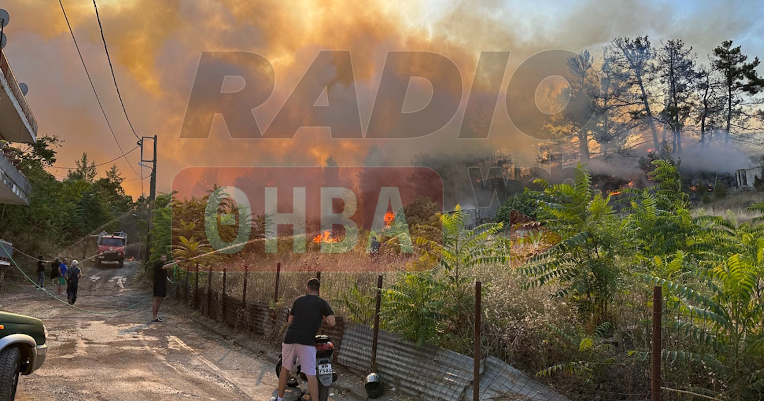 Φωτιά στην Αγία Τριάδα κοντά στη Θήβα