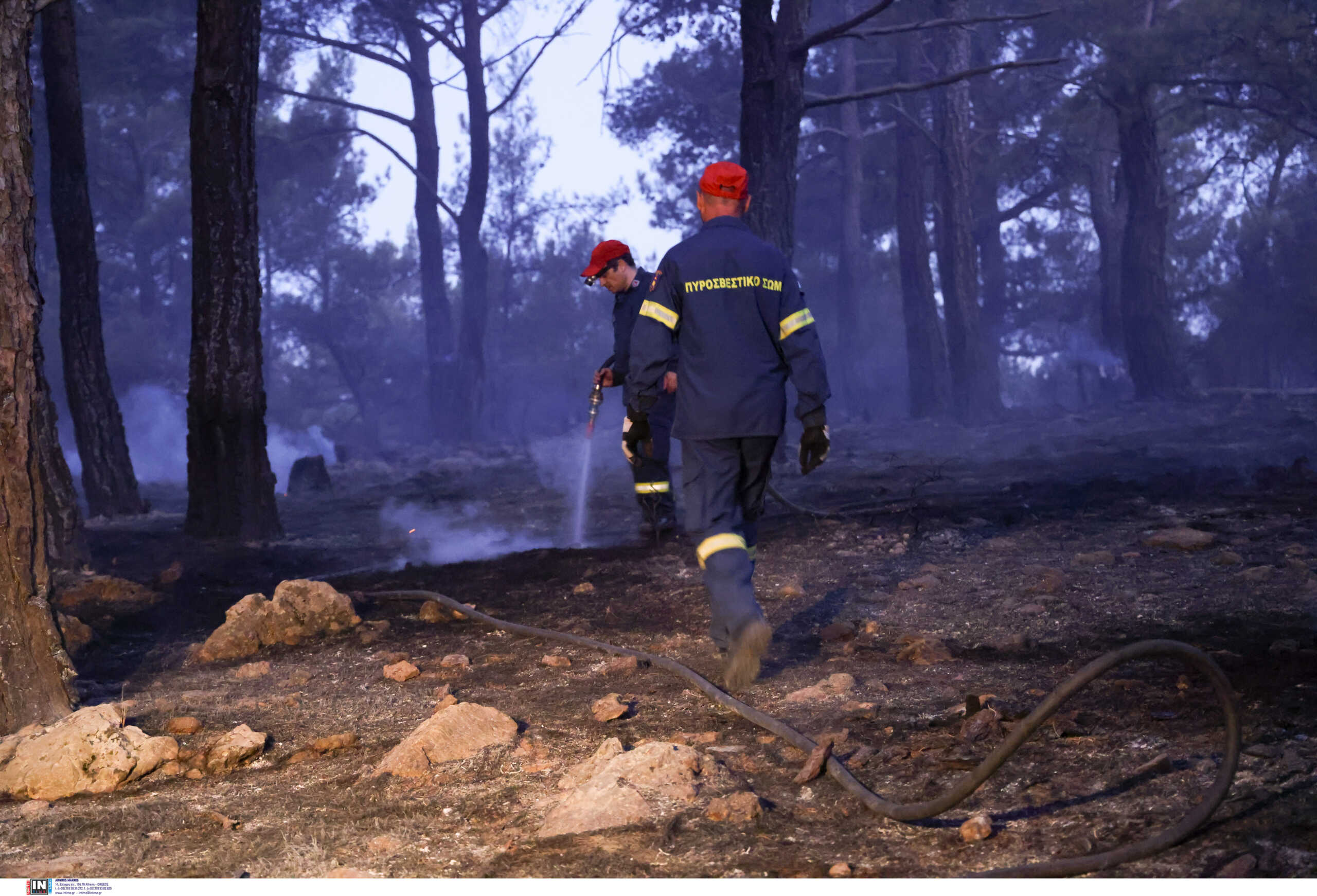 Φωτιές: Στα χέρια της ΕΛΑΣ 87χρονος για εμπρησμό – Συνελήφθη ενώ έβαζε φωτιά ξερά χόρτα στον Άγιο Στέφανο