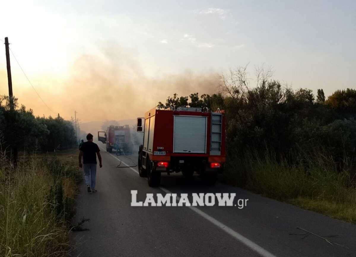 Φωτιά στη Φθιώτιδα ανάμεσα σε Κομποτάδες και Μεξιάτες – Έκλεισε ο δρόμος για Λαμία