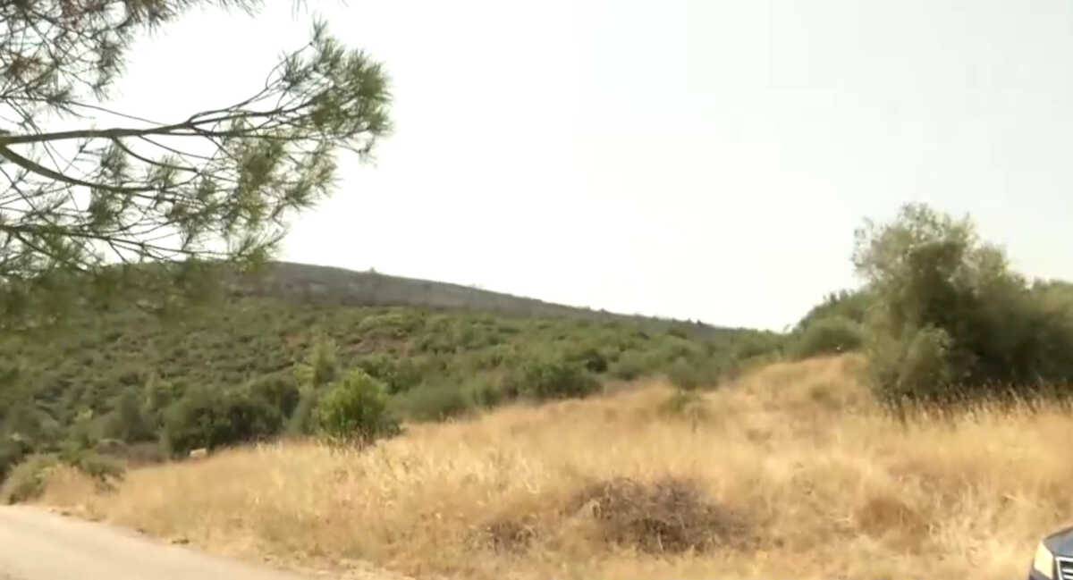 Φωτιά στον Αυλώνα: Υπό έλεγχο οι φλόγες