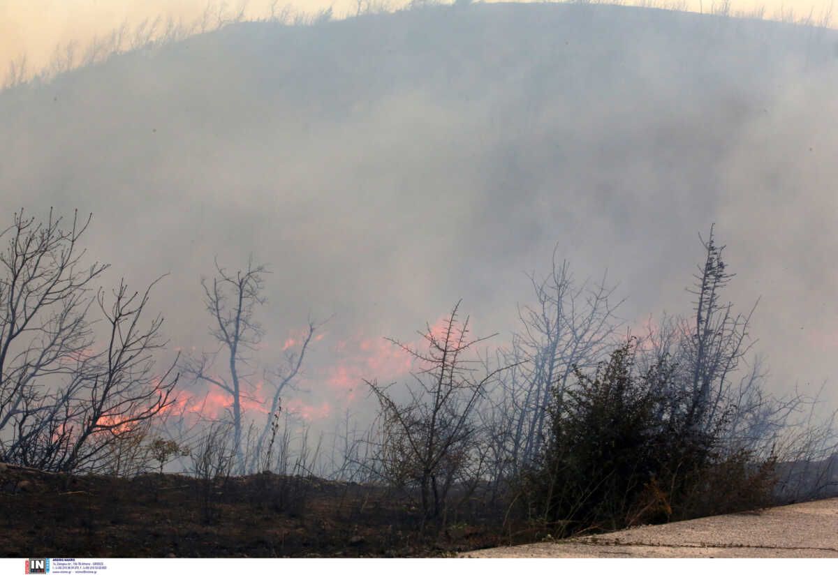 Αυξάνεται ο αριθμός των νεκρών μεταναστών στον Έβρο – Δεκάδες σοροί έχουν βρεθεί από τις αρχές