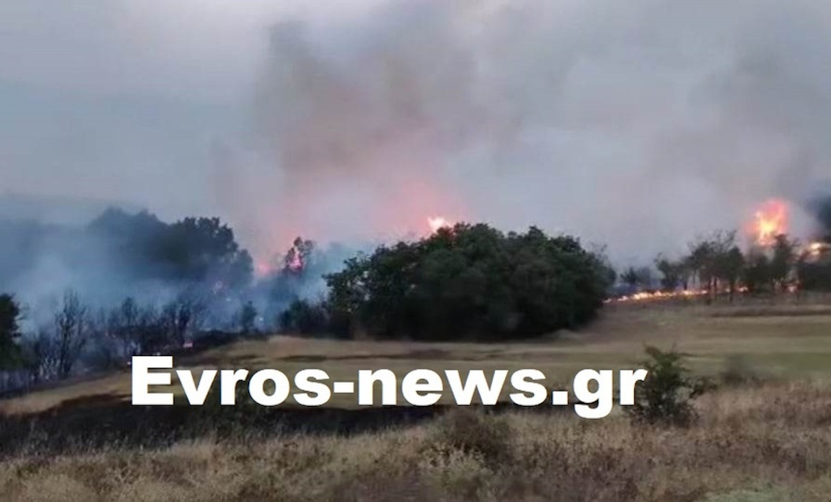 Φωτιά στην Αλεξανδρούπολη: Καίει καλλιέργειες και δέντρα – Ισχυρές δυνάμεις στο σημείο