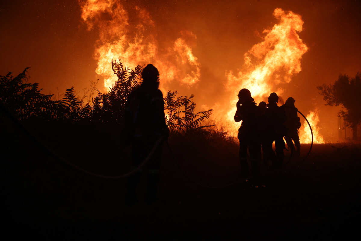 Φωτιά στον Έβρο: Οι ήρωες υλοτόμοι που έσωσαν σχεδόν με γυμνά χέρια 100.000 στρέμματα δάσους