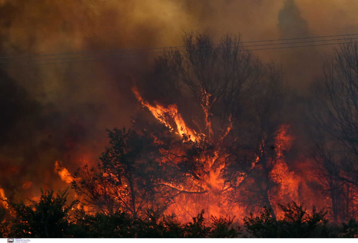 Φωτιά στην Καβάλα: Μάχη με τις αναζωπυρώσεις – Σε εξέλιξη η καταγραφή των ζημιών