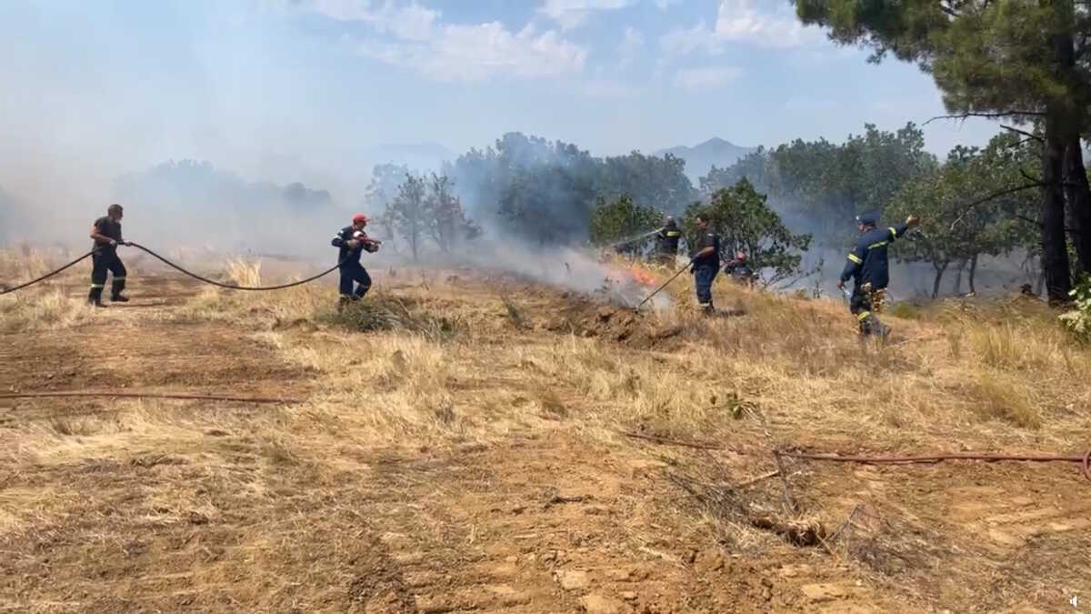 Φωτιά στην Αλεξανδρούπολη: Ήχησε το 112 – Σε ετοιμότητα οι κάτοικοι σε Μελία, Νίψα, Πεύκα και Λουτρό