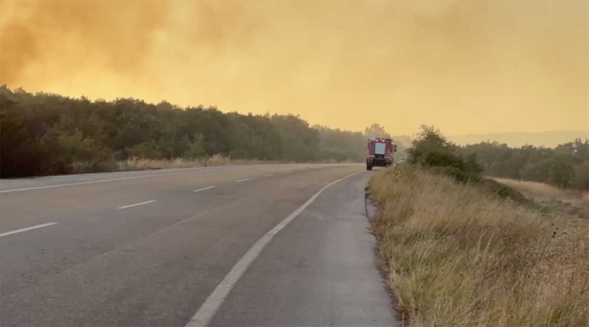 Τουλάχιστον 18 απανθρακωμένοι μετανάστες βρέθηκαν στο δάσος της Δαδιάς