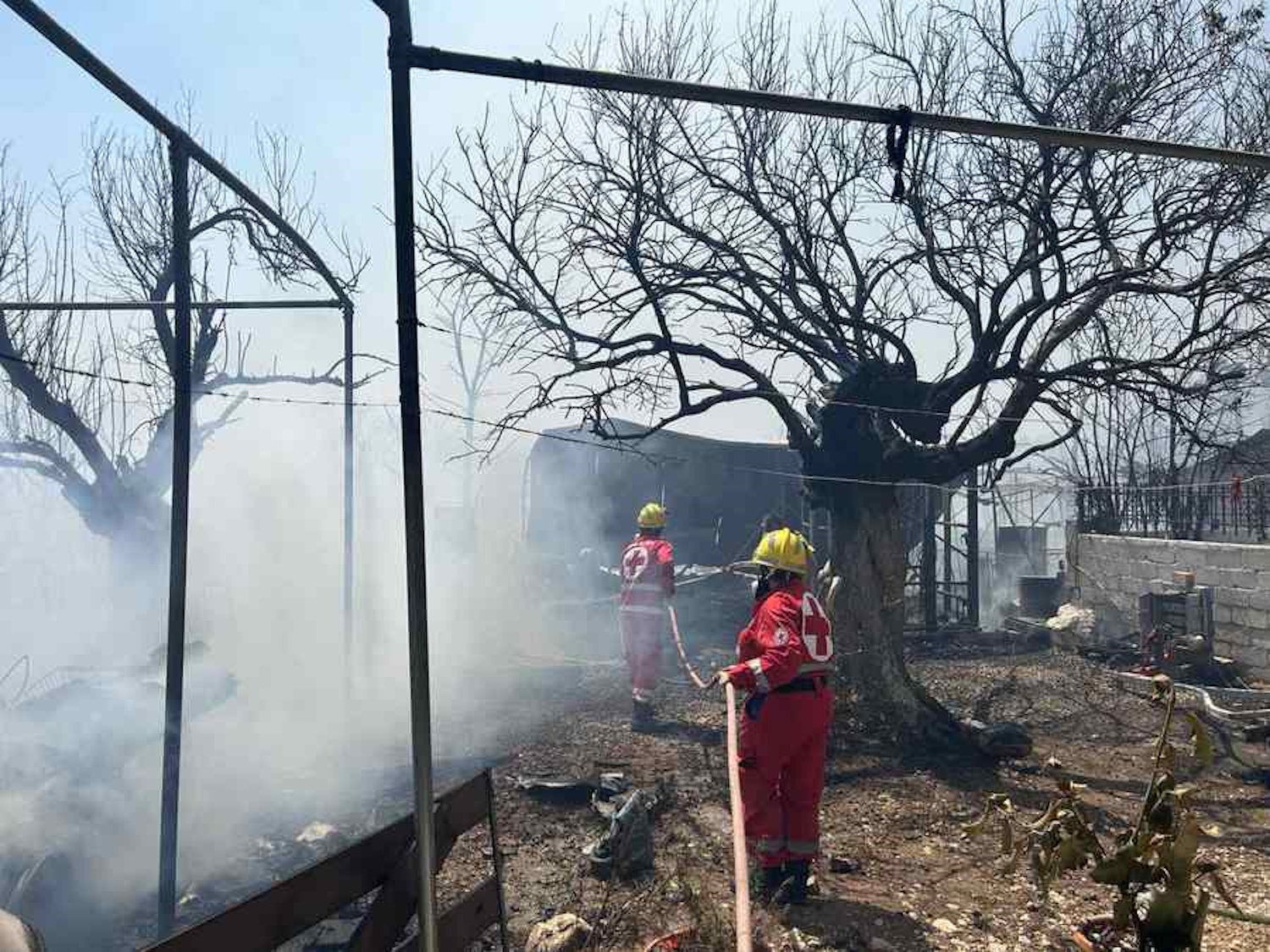 Φωτιά στη Βοιωτία: Αναζωπύρωση στα Βάγια – Οι φλόγες πέρασαν από την Υλίκη