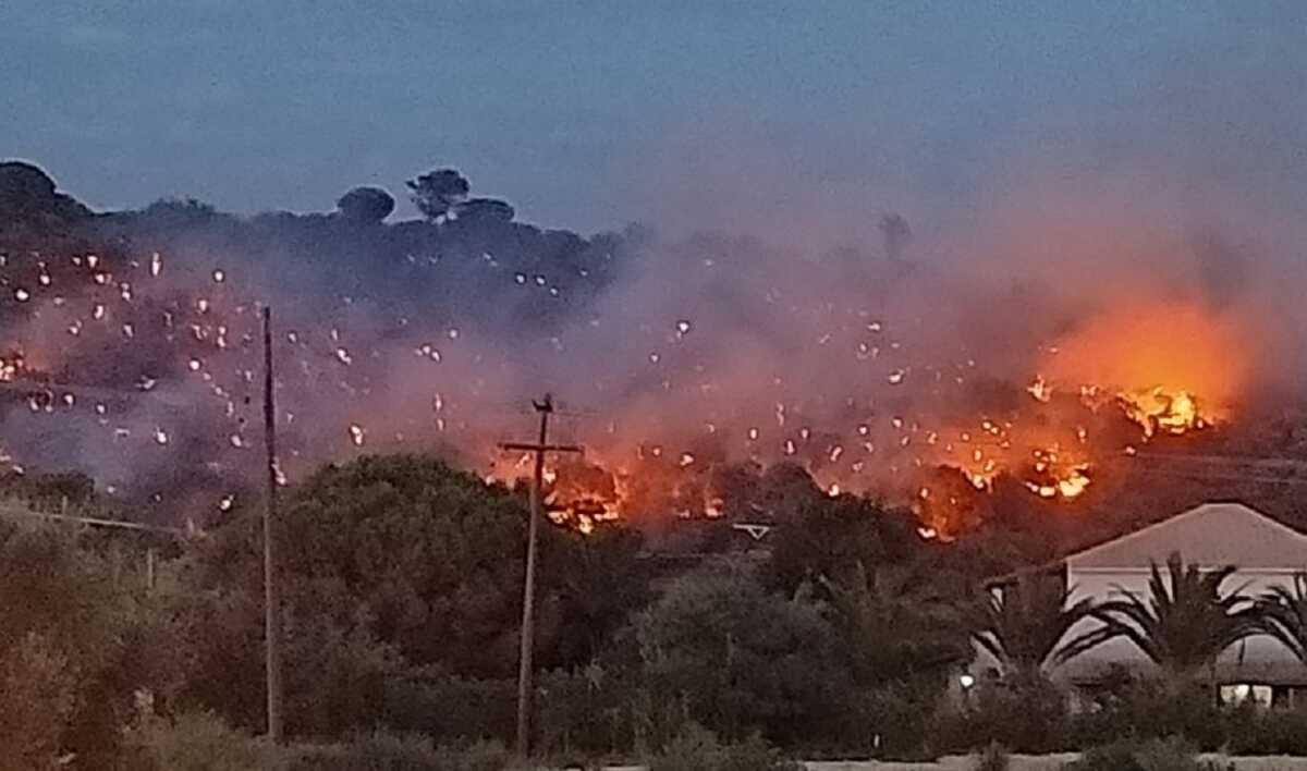 Φωτιά στη Ζάκυνθο: Καταγγελίες για εμπρησμό – Κάηκαν αιωνόβιες ελιές