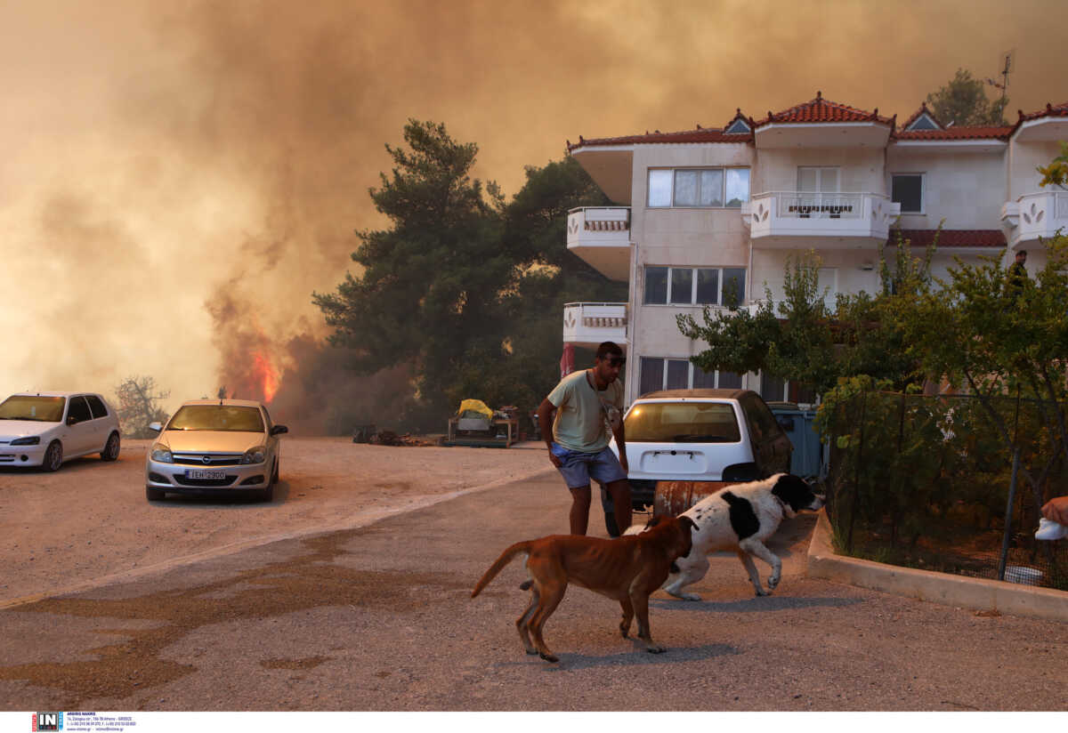 Φωτιές: Παρατείνονται οι προθεσμίες φορολογικών υποχρεώσεων για τους πυρόπληκτους